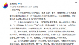 机长和机组人员互相殴打 东海航空道歉是怎么回事？事件的细节是什么？