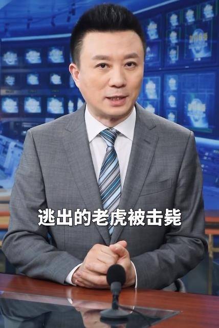 三天内发生两起老虎伤人事件，央视主播：管理漏洞害人害虎